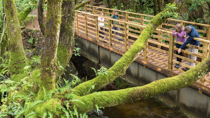 Family walking on a bridge over the river Esk framed with lush greenery